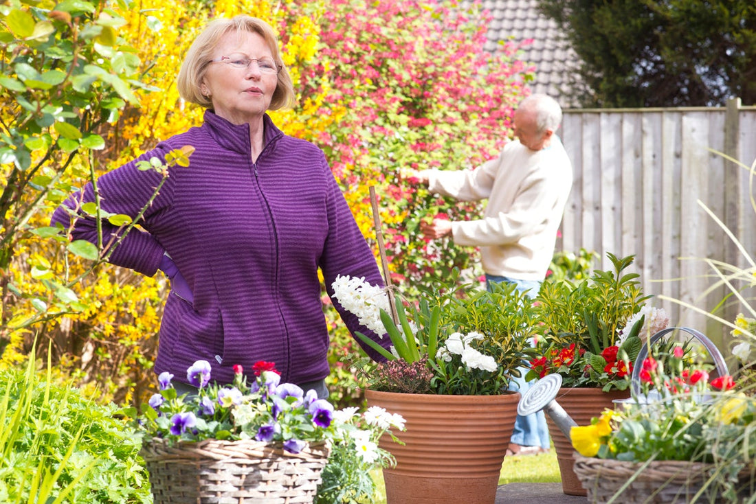 Glucosamine Supplements -More Than Just Joint Health