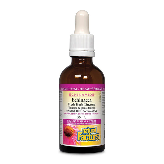 NATURAL FACTORS Echinacea Tincture  (Berry - 50ml)