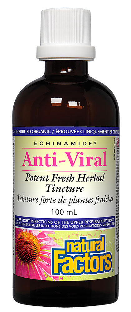 NATURAL FACTORS Echinamide Anti-Viral (100 ml)