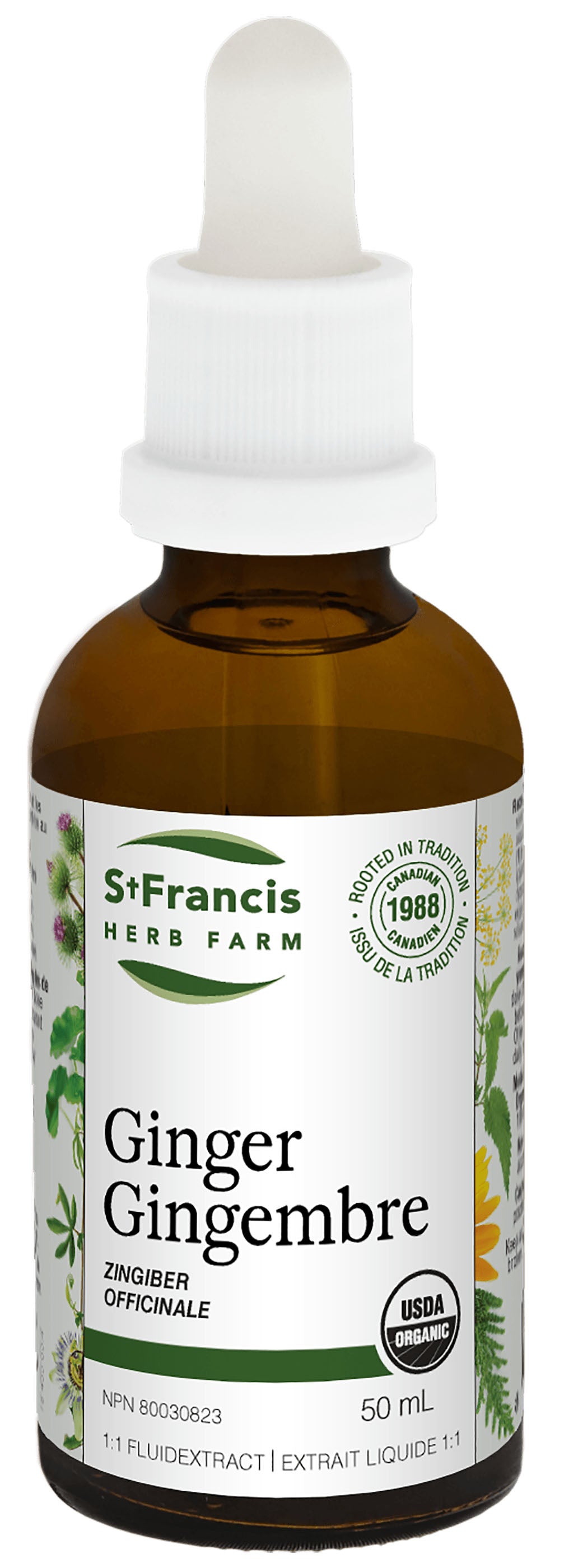 ST FRANCIS HERB FARM Ginger (50 ml)