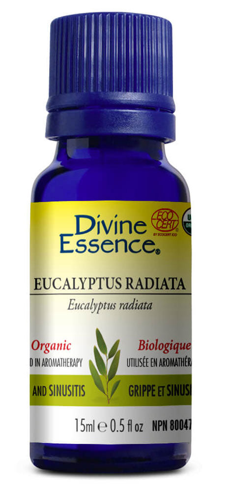 DIVINE ESSENCE Eucalyptus Radiata (Organic - 15 ml)